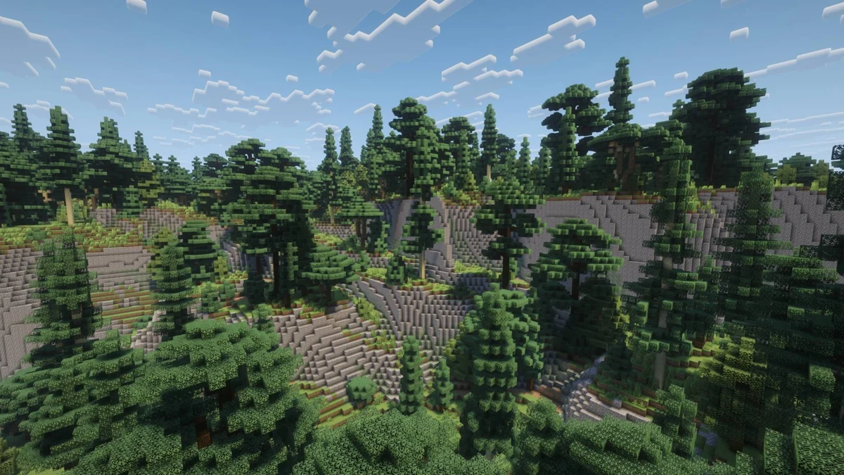 Forest on uneven high ground with exposed stone