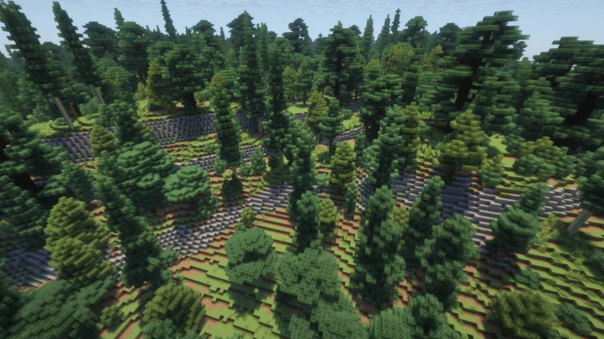 Forested valley and water channel seen from above