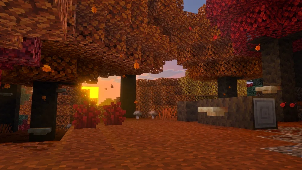 The sun on the horizon shows through gaps in the trees in the colorful dappled forest. A log lays on the ground with a shelf mushroom growing on it.