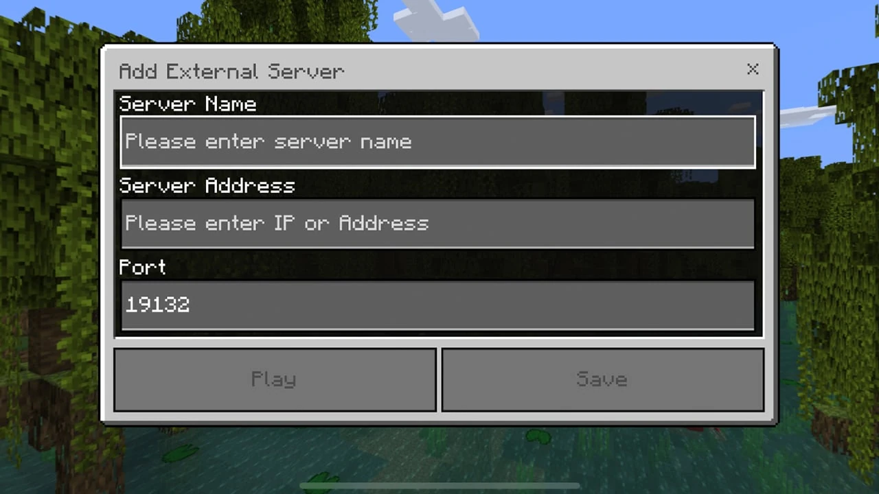 Official Minecraft Bedrock example showing separate server name, address and port fields