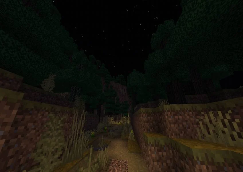 A narrow path between overgrown walls and trees at night