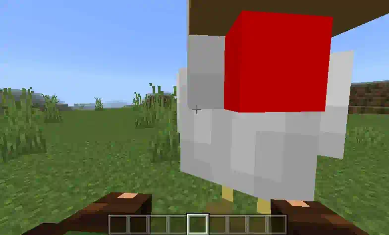 First-person view while carrying a chicken