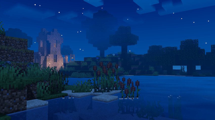 Dark water and reeds with a distant illuminated building