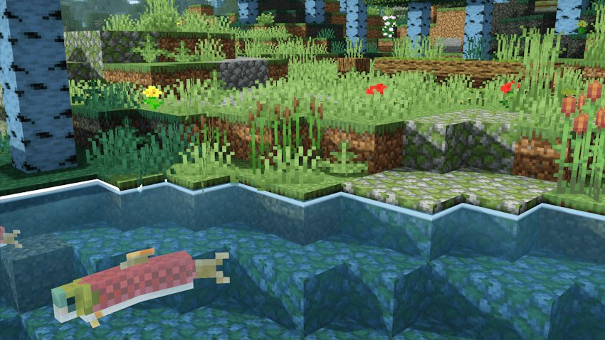 Salmon visible in clear water beside a bright outlined bank