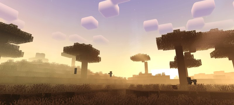 Warm sunrise behind distant trees