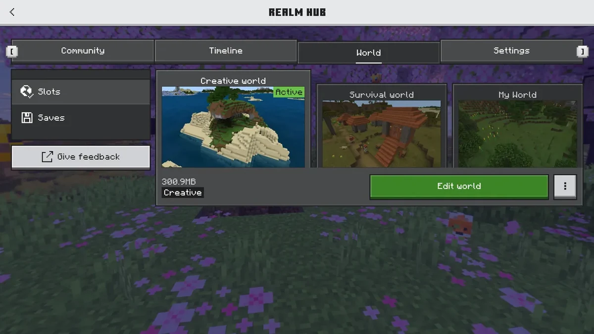 Bedrock Realm Hub World tab with Slots, Saves and Edit world