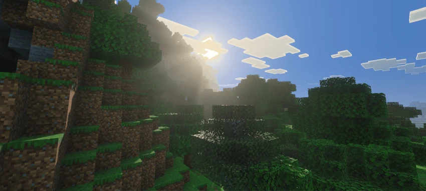 Sunbeams entering a shaded forest beneath a steep grassy hillside