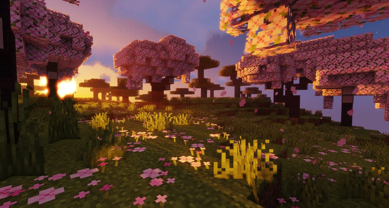 Cherry trees and flowers in warm sunset light with Sildurs Vibrant Shaders