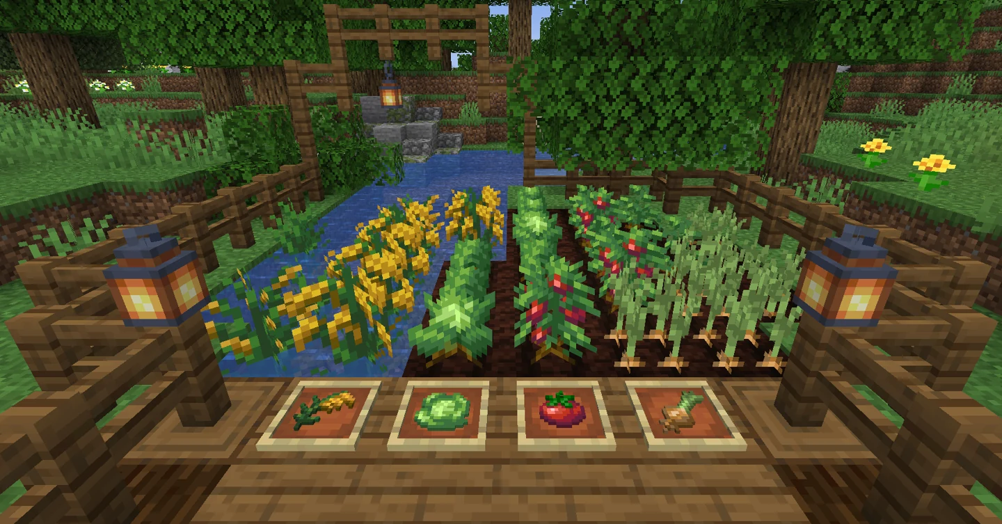 Rice growing in water beside cabbage, tomato and onion rows