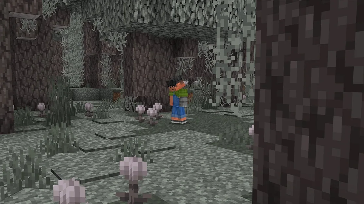 Pale garden with a player beside eyeblossoms during daylight