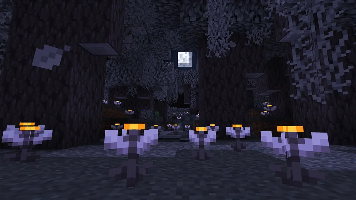 An official nighttime view of an eyeblossom path