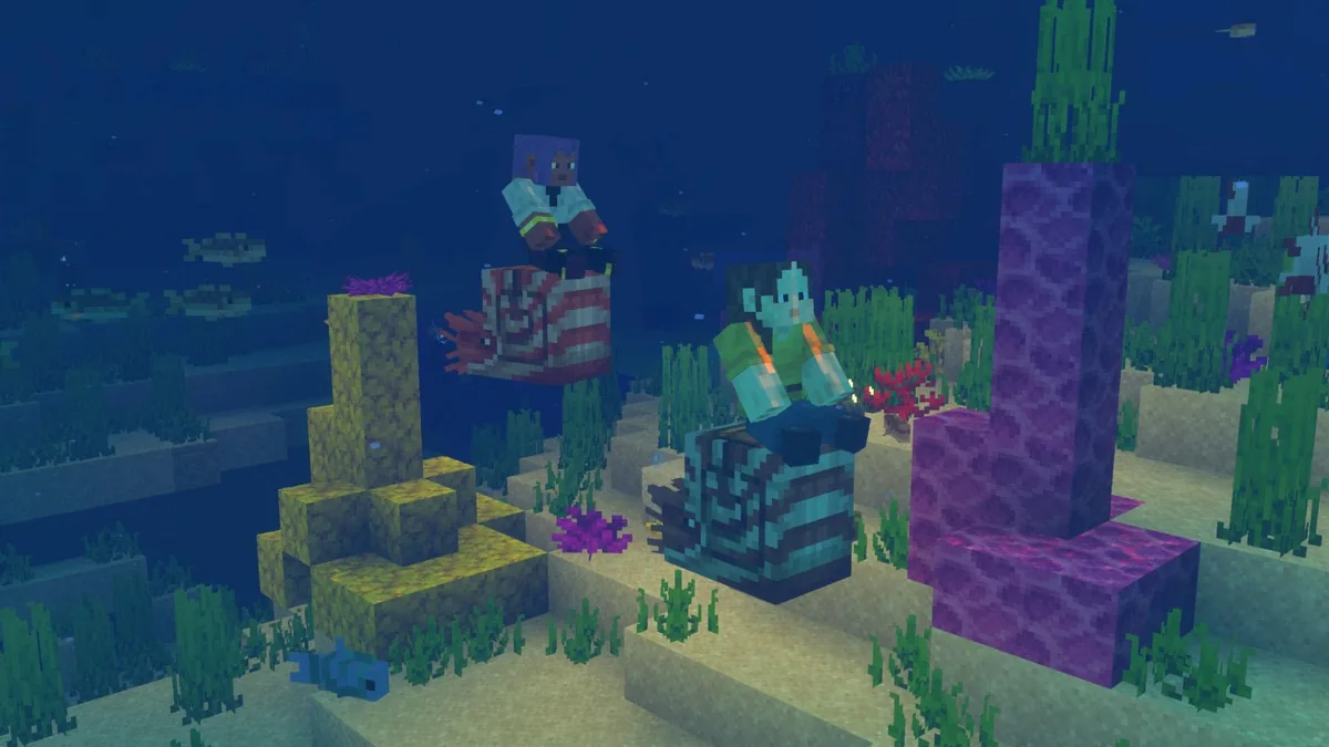 Two riders on nautilus mounts in a coral reef