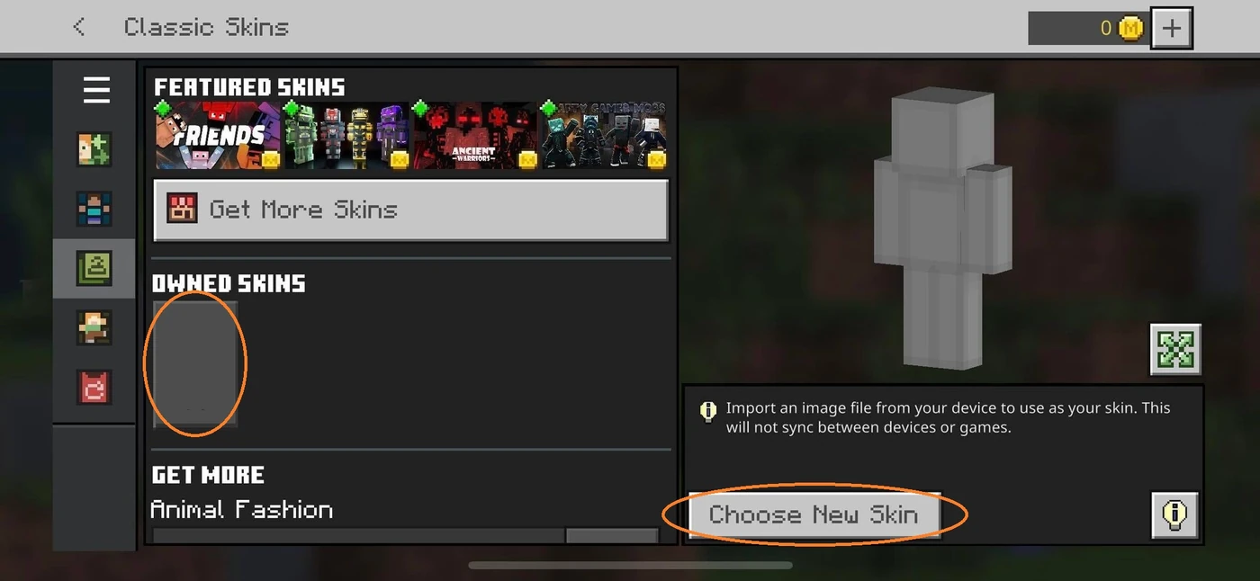 Earlier Bedrock Classic Skins screen highlighting the imported slot and Choose New Skin
