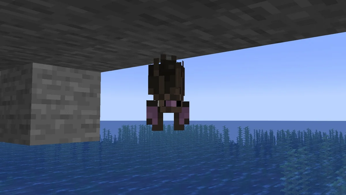 The redesigned bat hanging upside down
