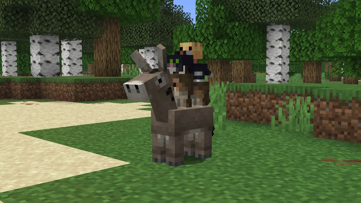 Official arranged stack of redesigned baby chicken, cat, wolf and donkey
