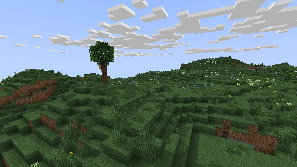 MINIMAL official gallery: grassy hillside with a tree and directional shadows