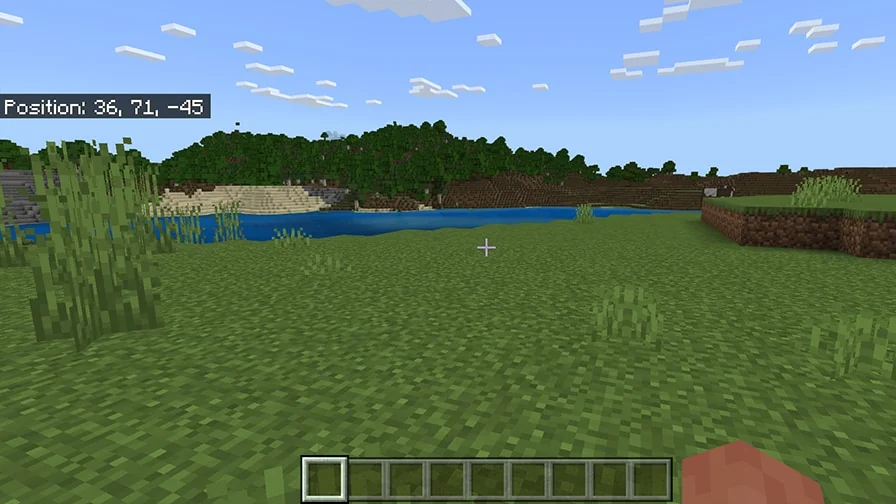 Official Bedrock screenshot showing Position 36, 71, minus45 at the top left