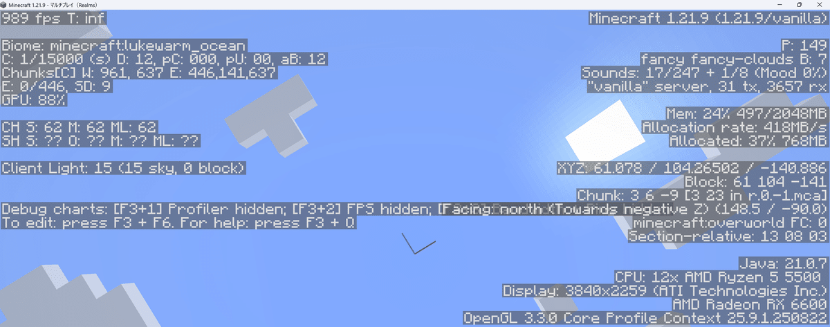 Java 1.21.9 custom F3 view with XYZ and Block coordinates on the right